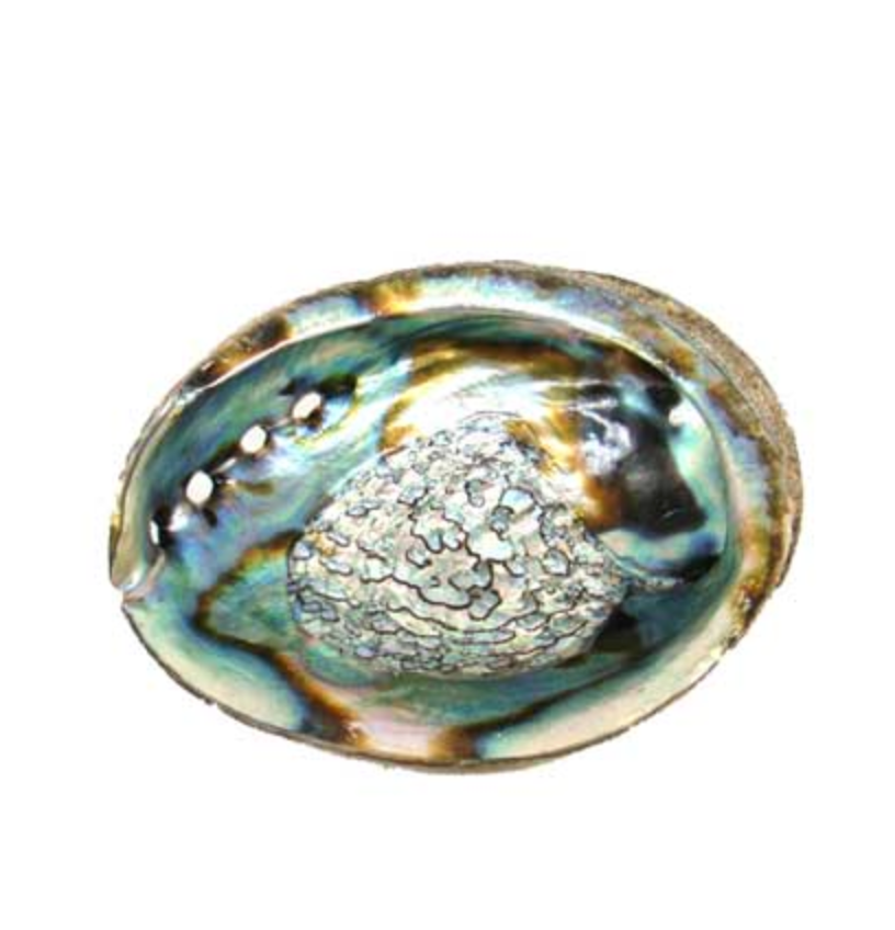 ABALONE SHELL Incense Burner small - Image 3